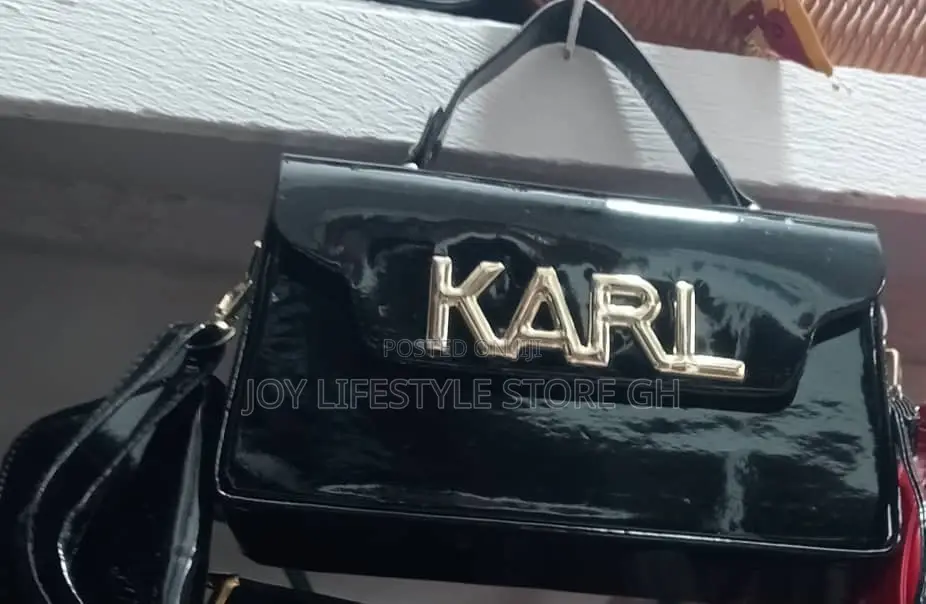 Ladies Handbag
