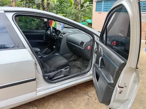 Peugeot 407 2007 Gray