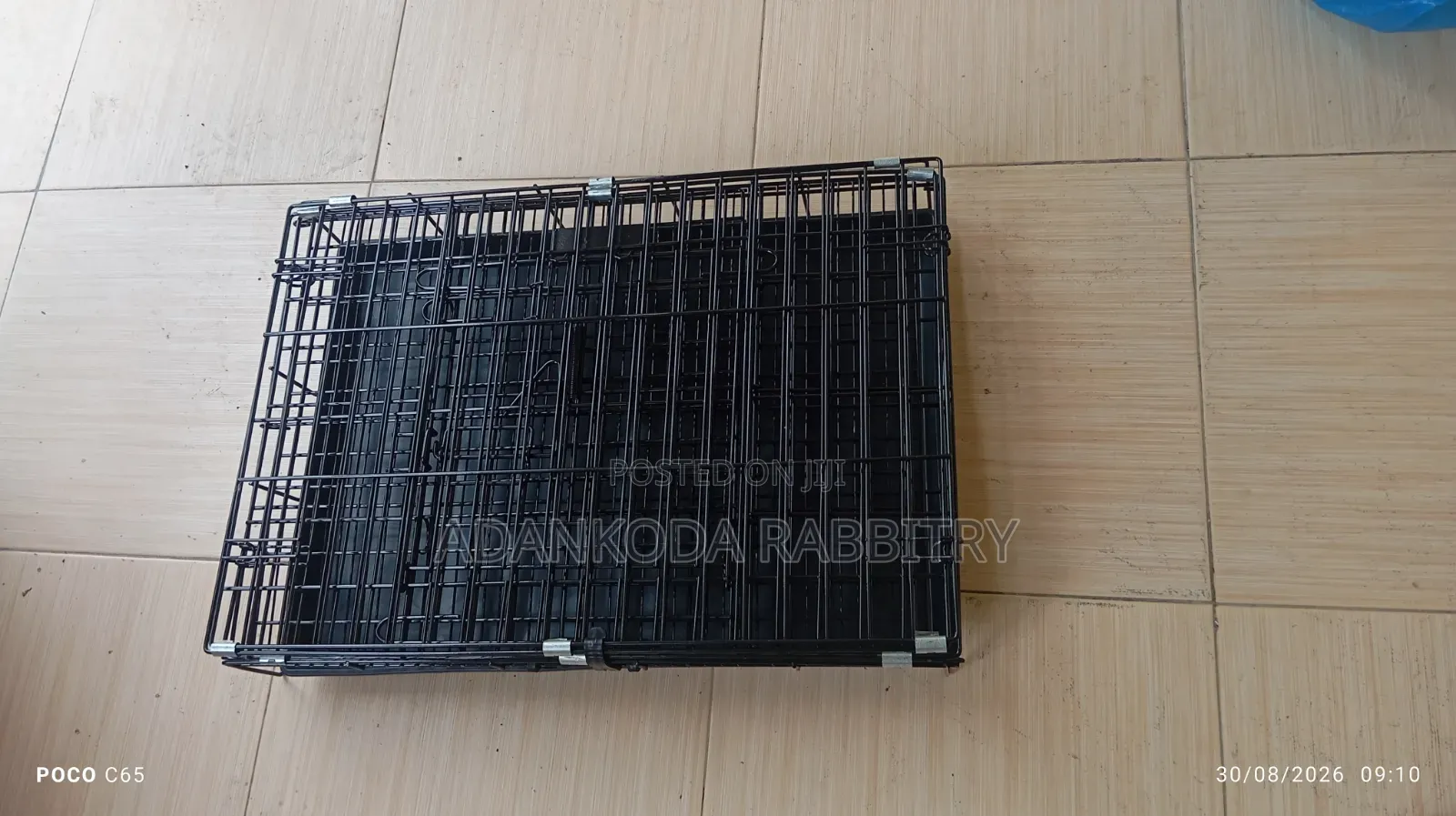 Cages for Animals. Rabbits, Grasscutter, Guinea Pigs, Parrot, Etc