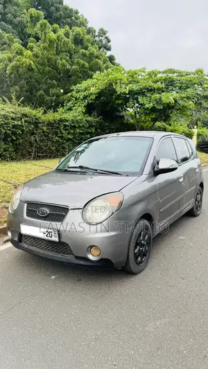 Kia Morning 2010 Gray