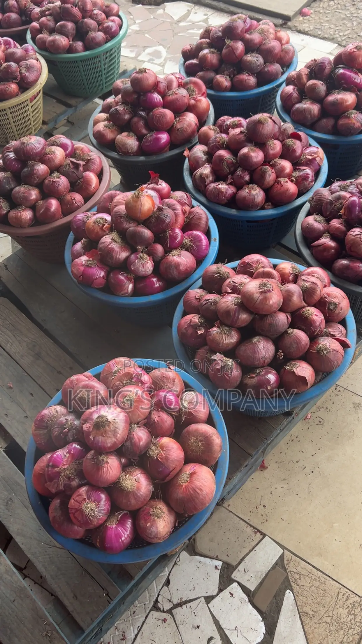 Onions (Affordable Prices)