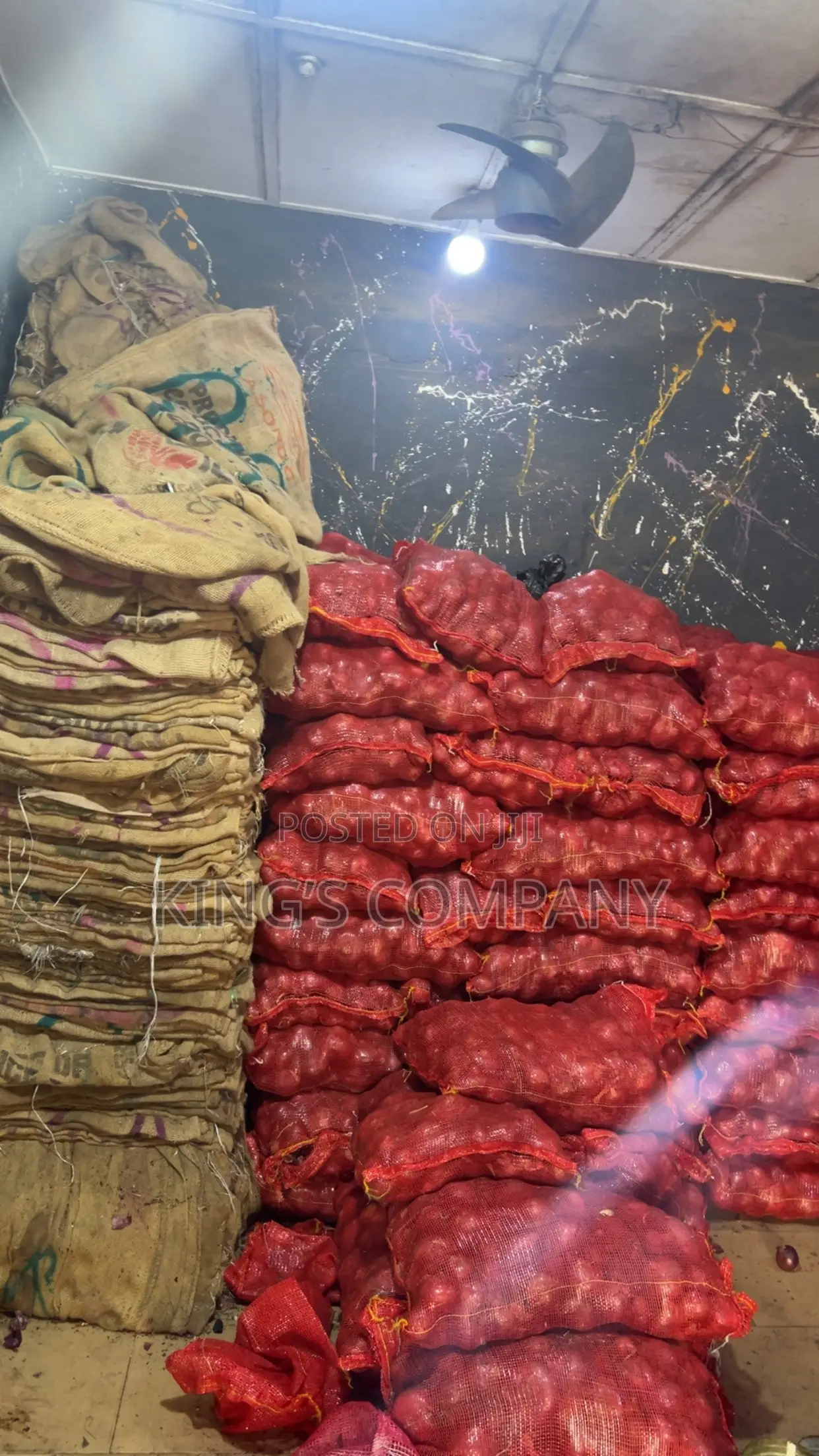 Onions (Affordable Prices)