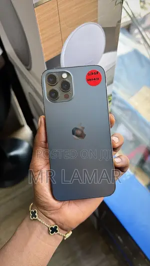 Apple iPhone 12 Pro Max 256 GB Gray