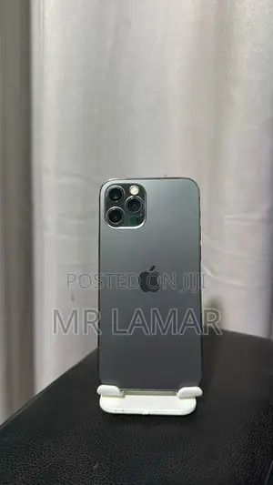 Apple iPhone 12 Pro Max 256 GB Gray