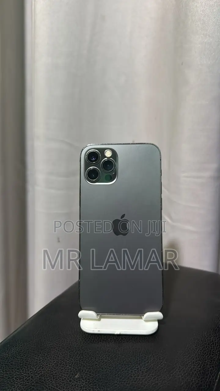 Apple iPhone 12 Pro Max 256 GB Gray