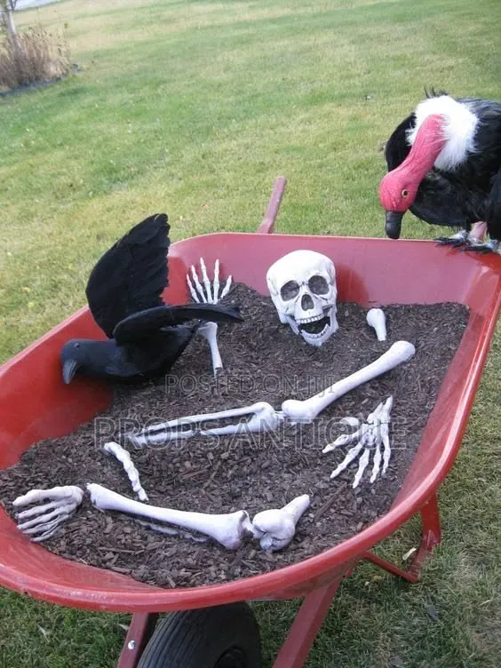 Halloween Props and Decor