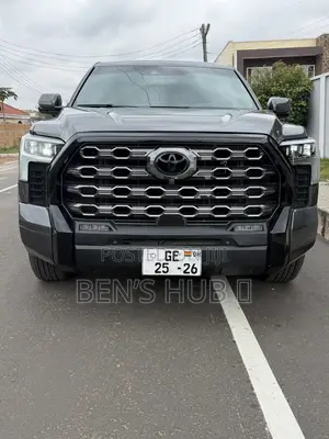Toyota Sequoia Platinum 4WD 2023 Gray
