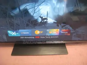 Panasonic Viera