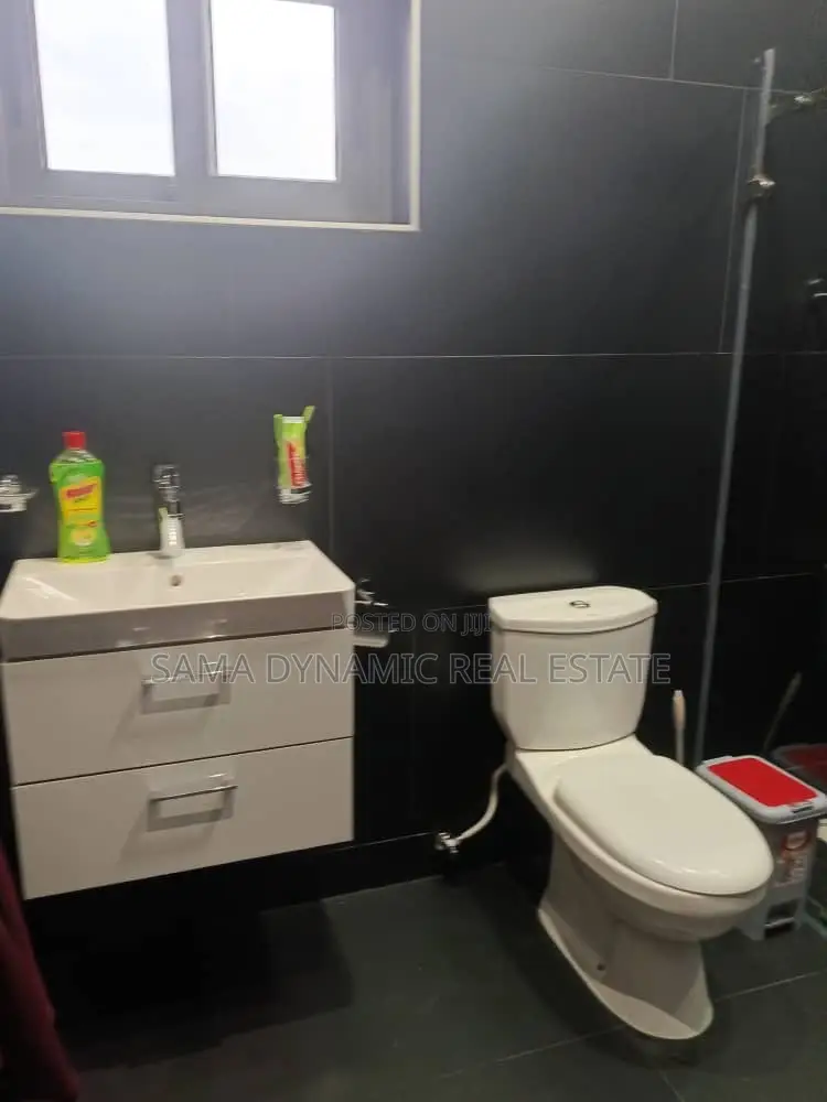 Furnished 1bdrm Apartment in Tseaddo for rent