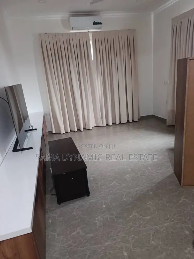 Furnished 1bdrm Apartment in Tseaddo for rent