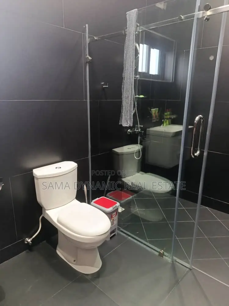 Furnished 1bdrm Apartment in Tseaddo for rent