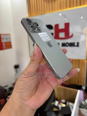 Apple iPhone 15 Pro Max 256 GB Silver