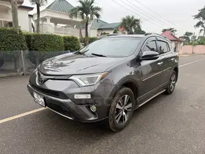 Toyota RAV4 2017 Gray