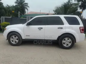 Ford Escape 2008 White