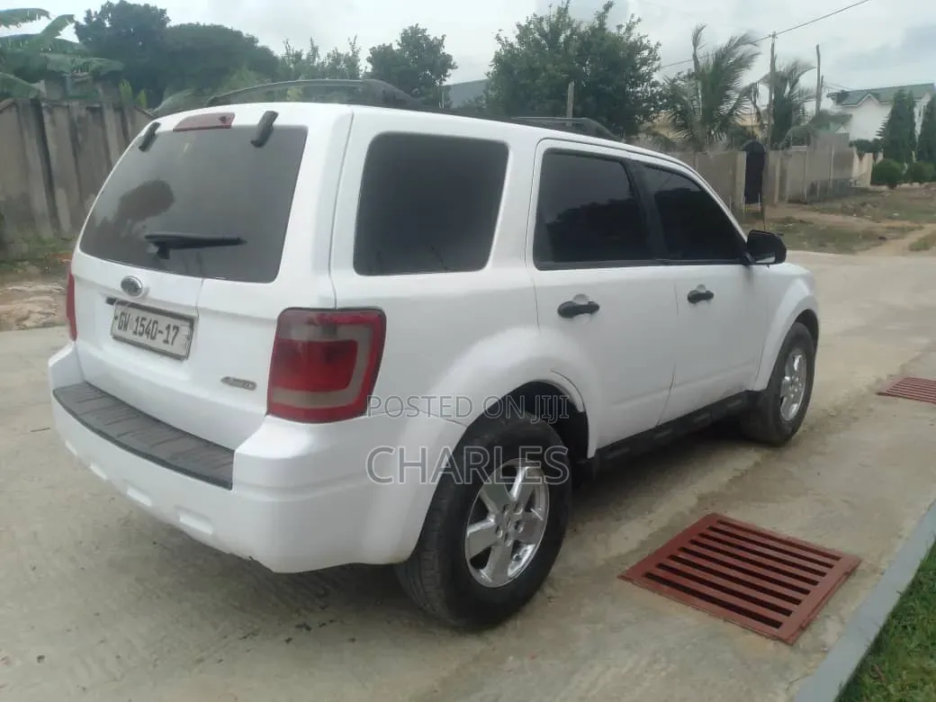 Ford Escape 2008 White