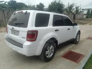 Ford Escape 2008 White