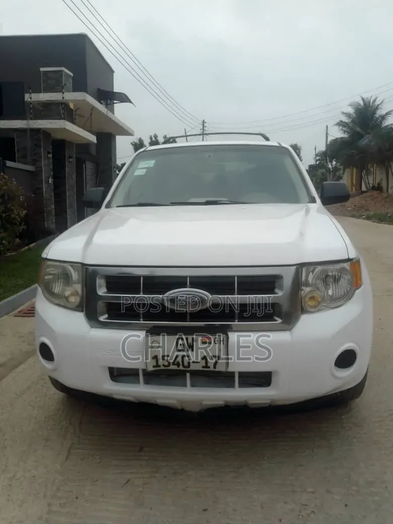 Ford Escape 2008 White