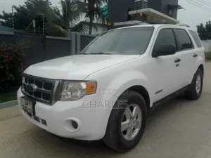 Ford Escape 2008 White