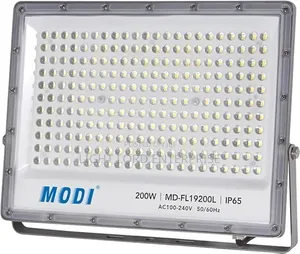Starry Night 100watts Modi Floodlight CR-80