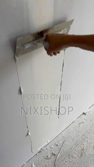 Painting, Wall Skimming & Graffiato