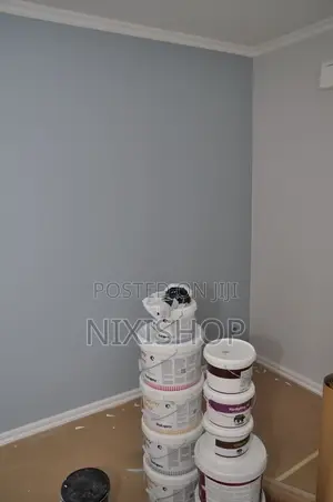 Painting, Wall Skimming & Graffiato
