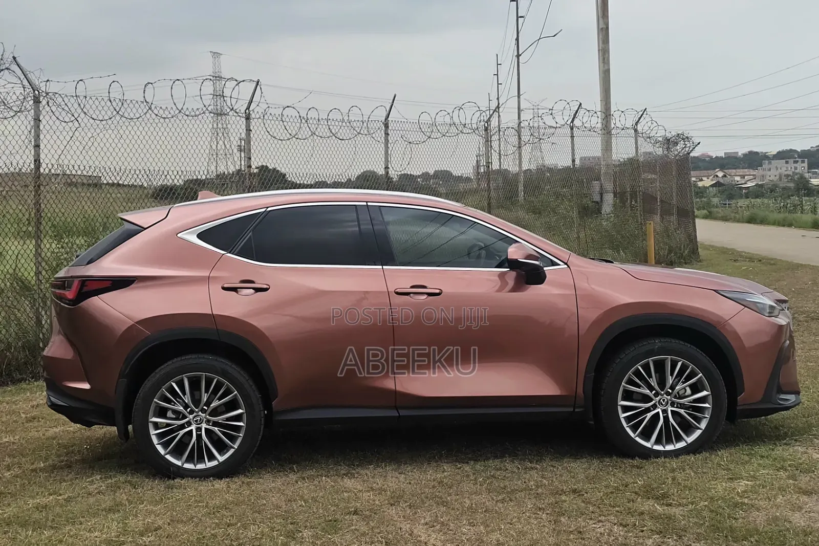 Lexus NX 350h Premium AWD 2025 Brown