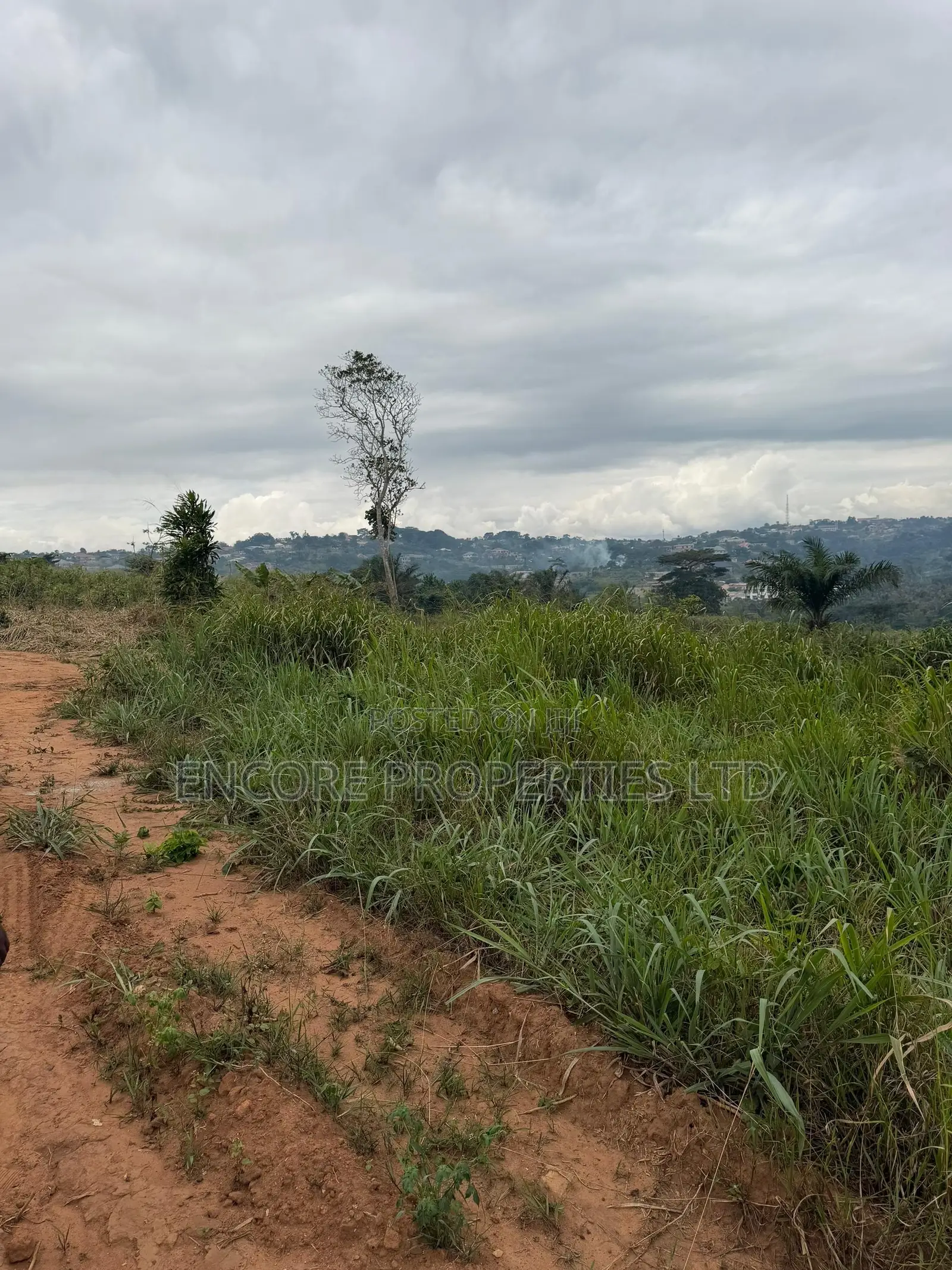 Land for Sale at Akropong