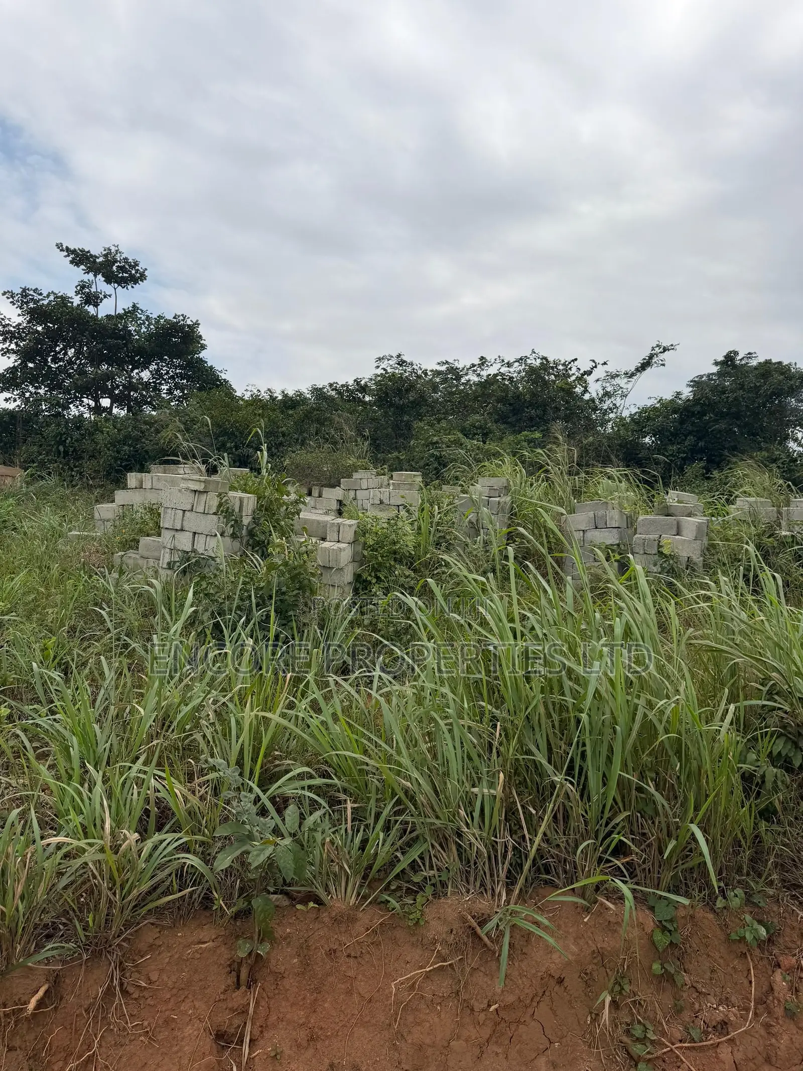 Land for Sale at Akropong