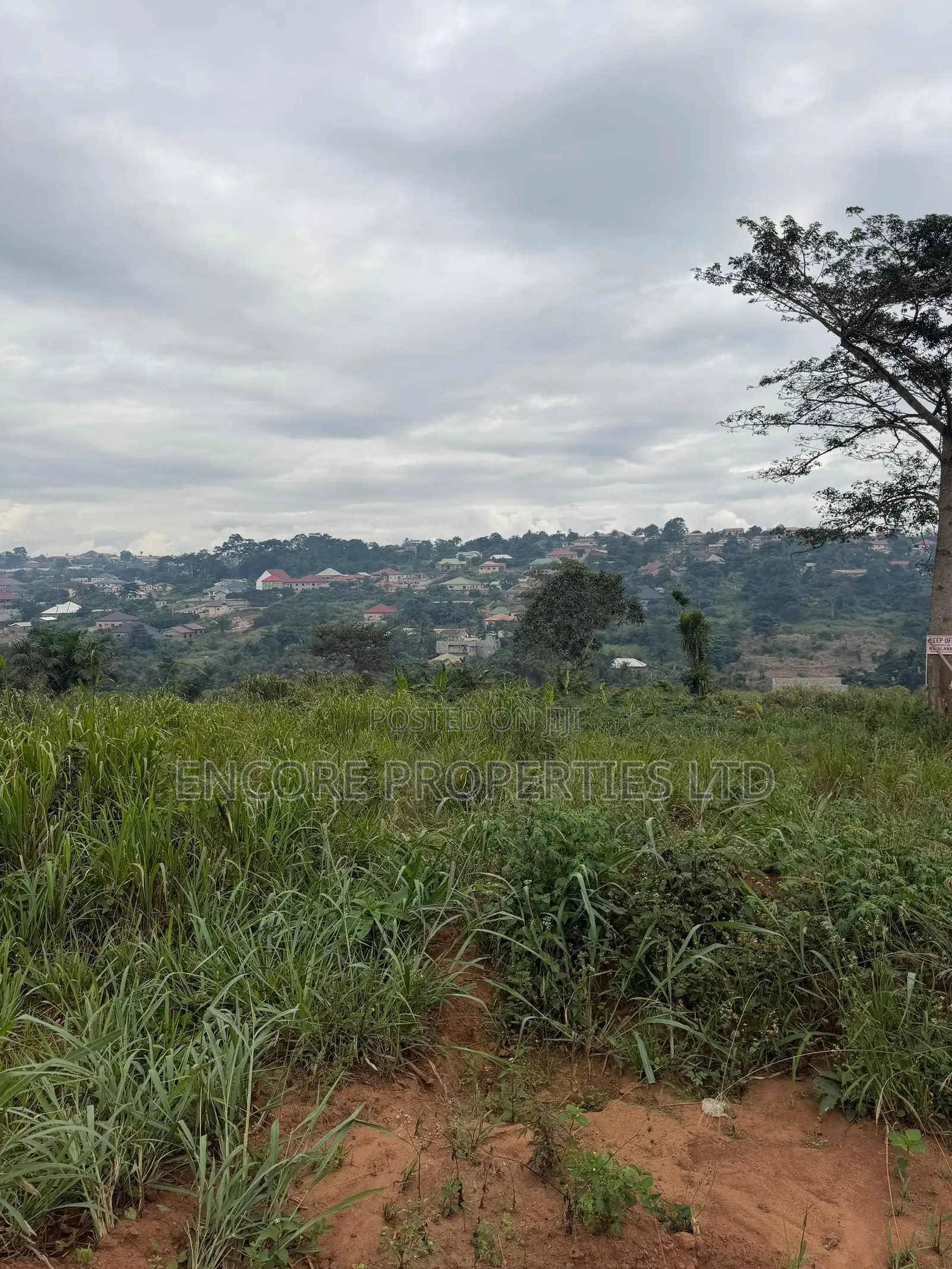 Land for Sale at Akropong