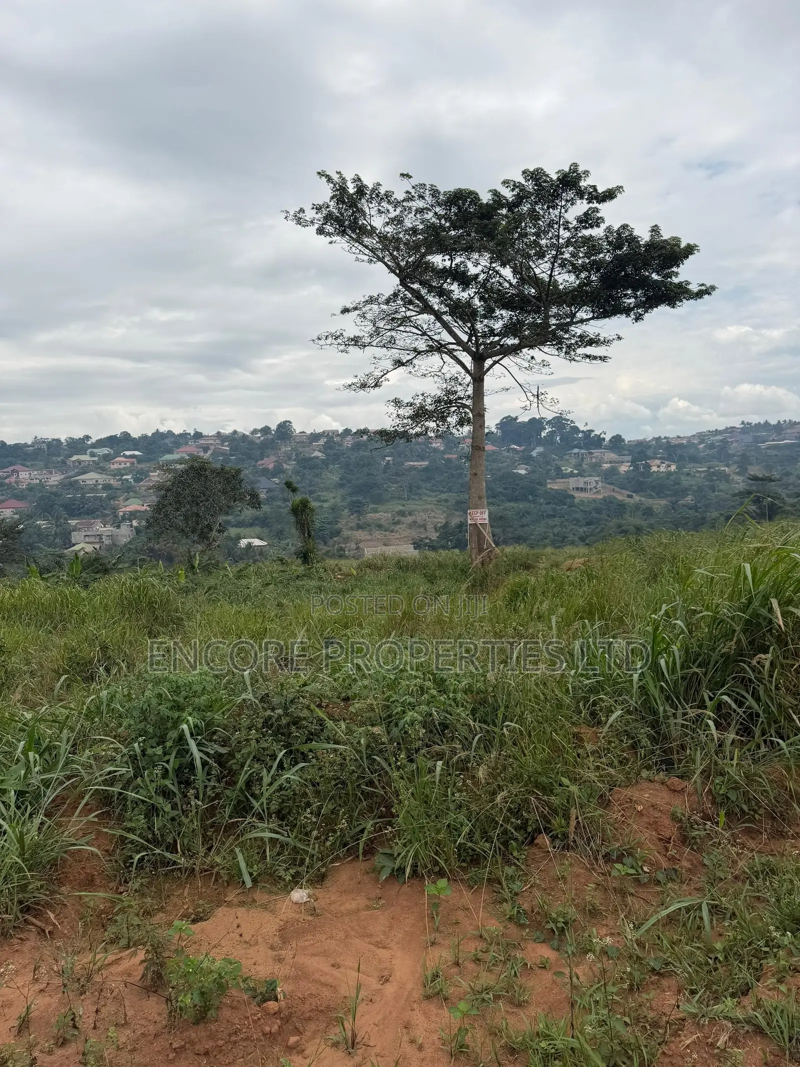 Land for Sale at Akropong