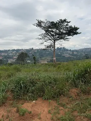 Land for Sale at Akropong