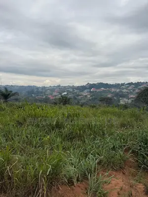 Land for Sale at Akropong