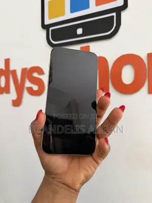 Apple iPhone 15 Pro Max 256 GB Gray