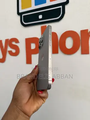 Apple iPhone 15 Pro Max 256 GB Gray