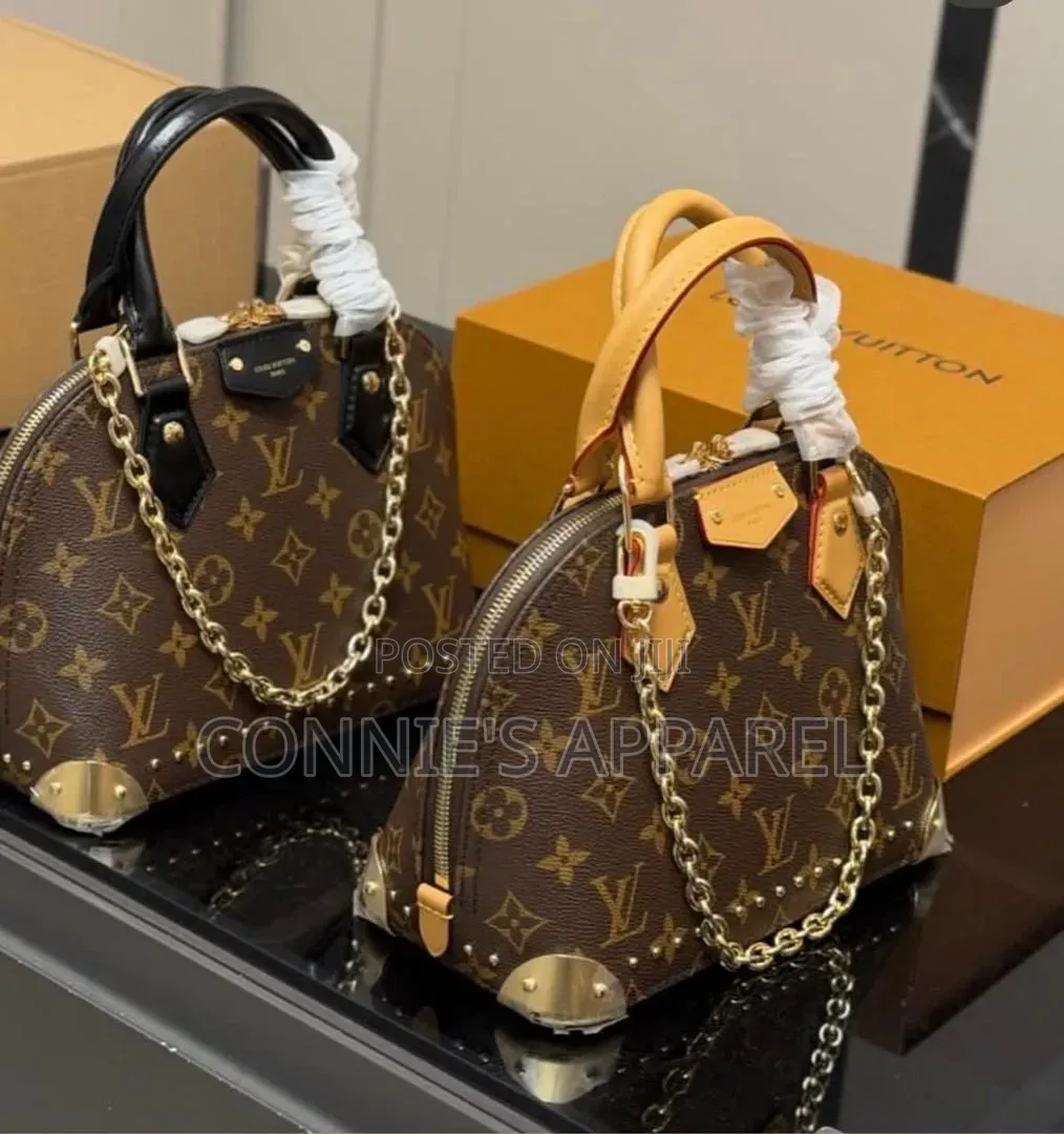 Louis Vuitton Ladies Handbags