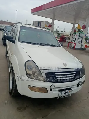 SsangYong Rexton 2007 White