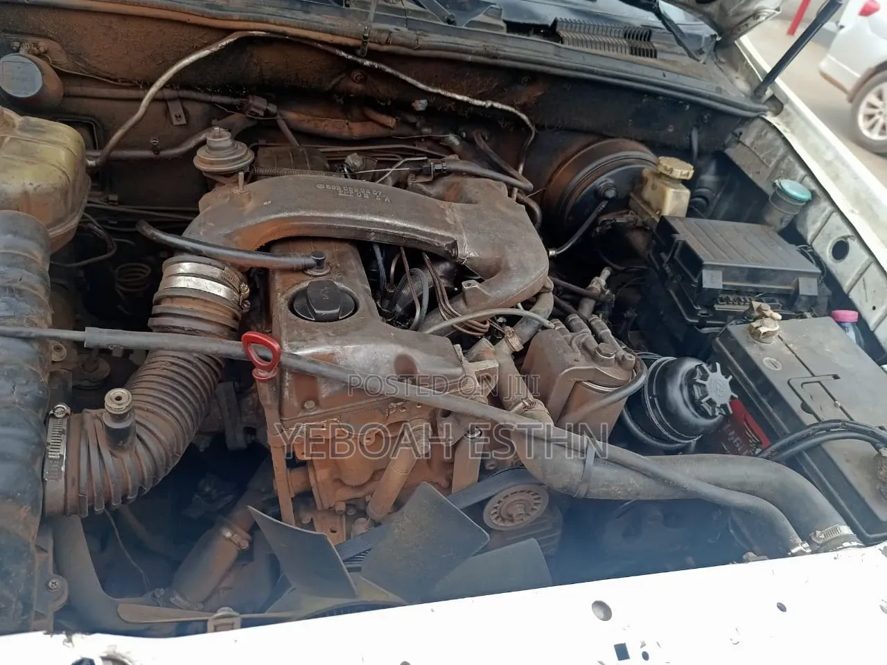 SsangYong Rexton 2007 White