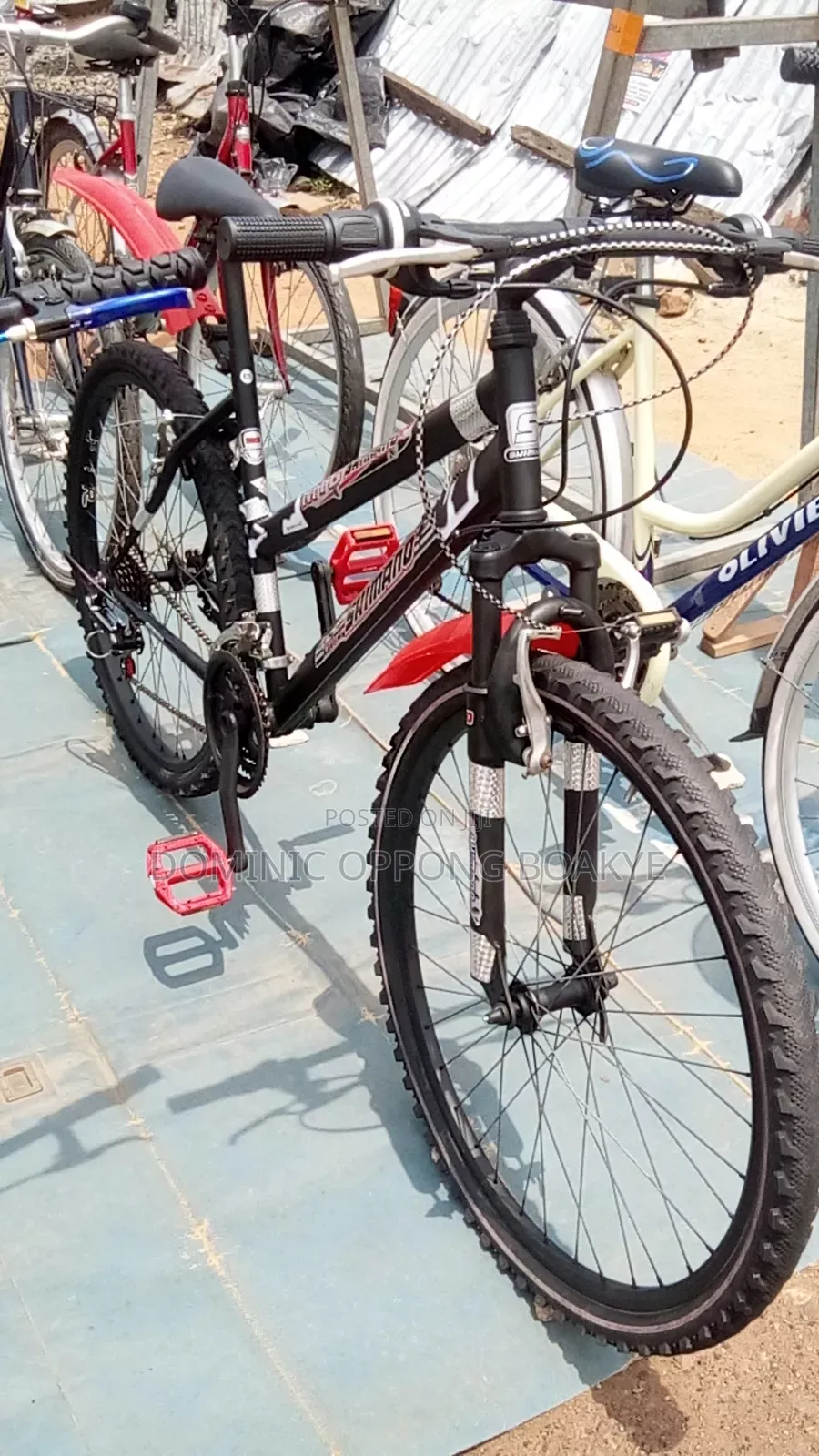 Mountain Bike