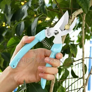 Branch Trimmer Stainless Steel