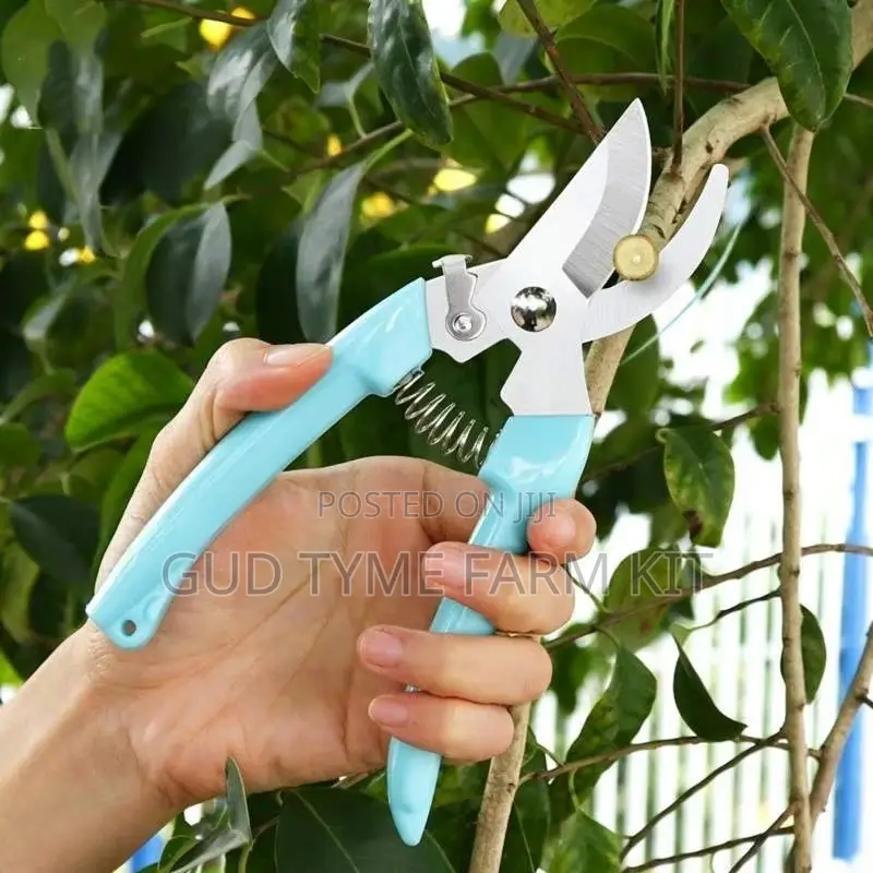 Branch Trimmer Stainless Steel