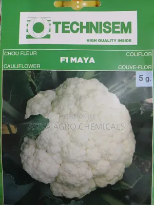 Cauliflower F1 Maya 1gram Seeds