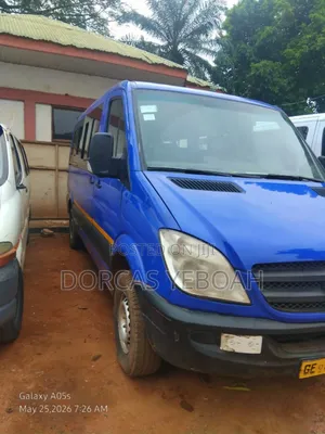 Mercedes-Benz Sprinter 2010 Blue