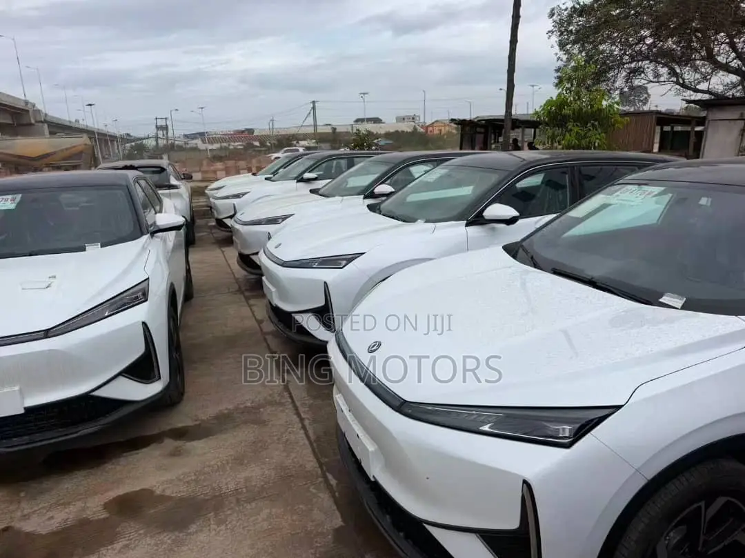 New Dongfeng Rich 7 2025 White