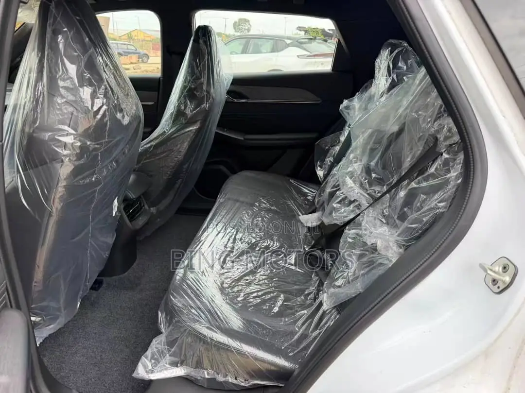 New Dongfeng Rich 7 2025 White