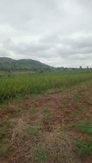 Land for Sale at Kasoa Kweikrom for Sale