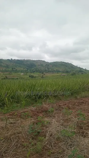 Land for Sale at Kasoa Kweikrom for Sale
