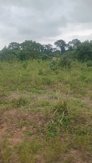 Amasaman ASHIFLA Land  for Sale