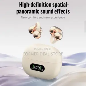 Open Ear- Earbuds