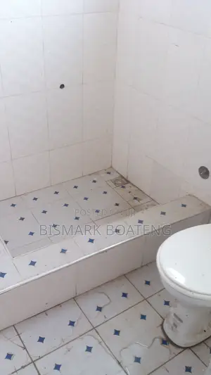 1bdrm Apartment in Boateng Estate, Akweley for rent