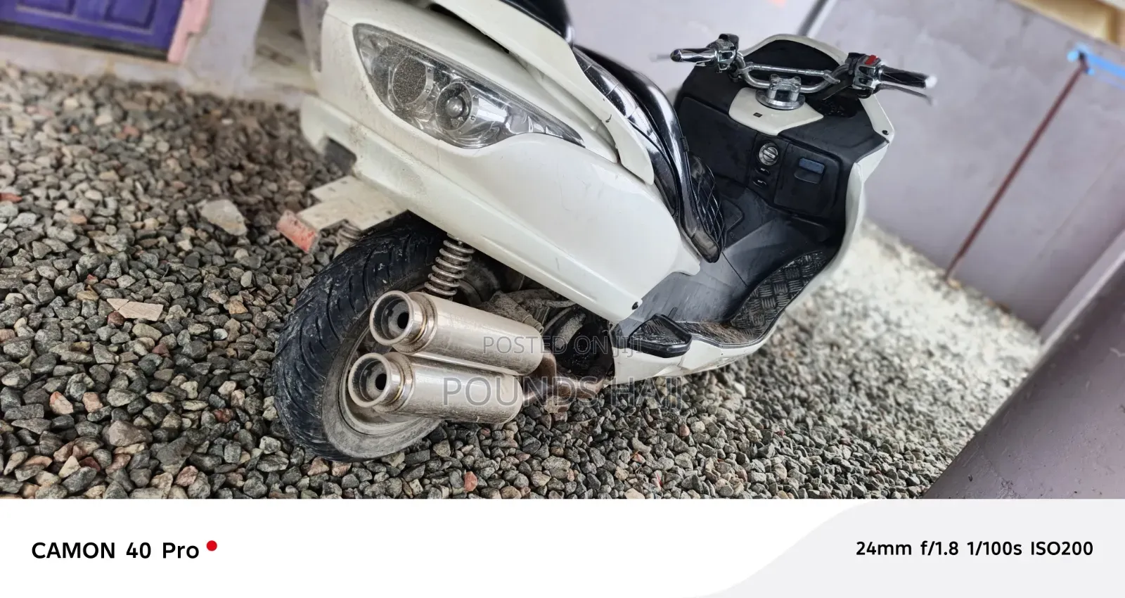 Honda Forza 1999 White